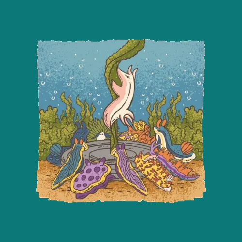 Lets Get Nudi Sticker - Sounds Aquatic Design